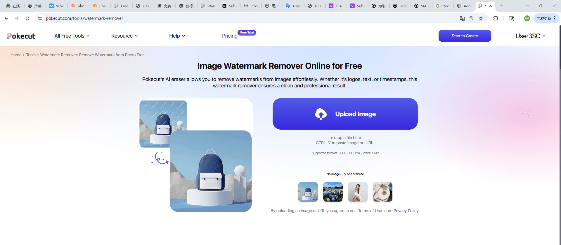 Watermark Remover: Remove Watermark from Photo Free | Pokecut