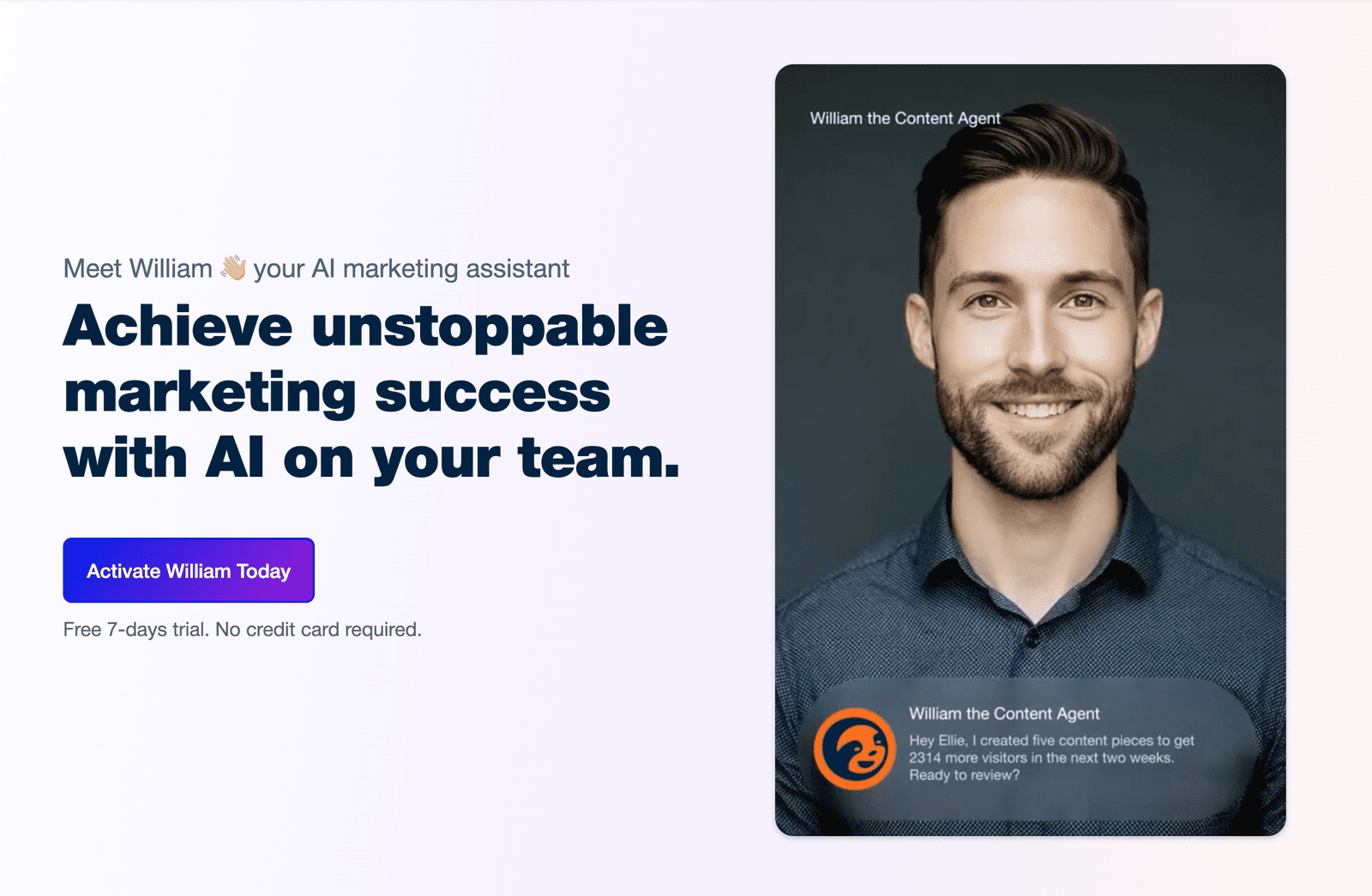 William – AI marketing agent