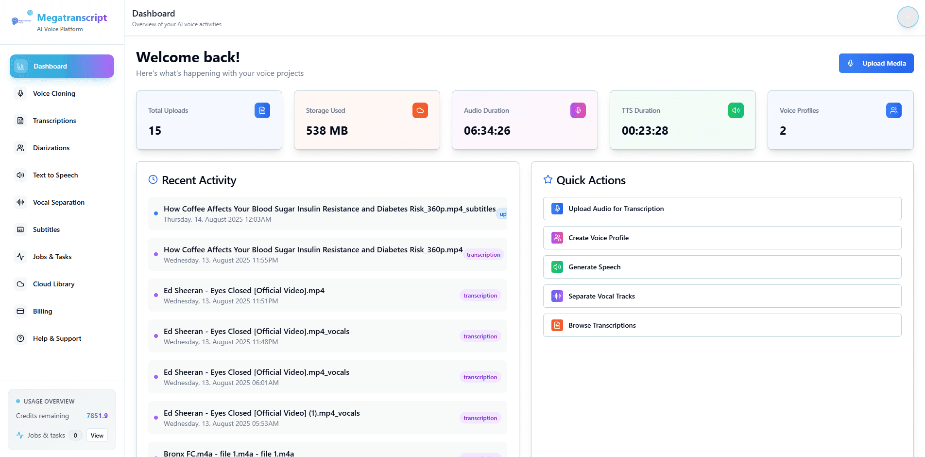 MegaTranscript: Transform Voice into Pure Intelligence with Advanced AI Technology
