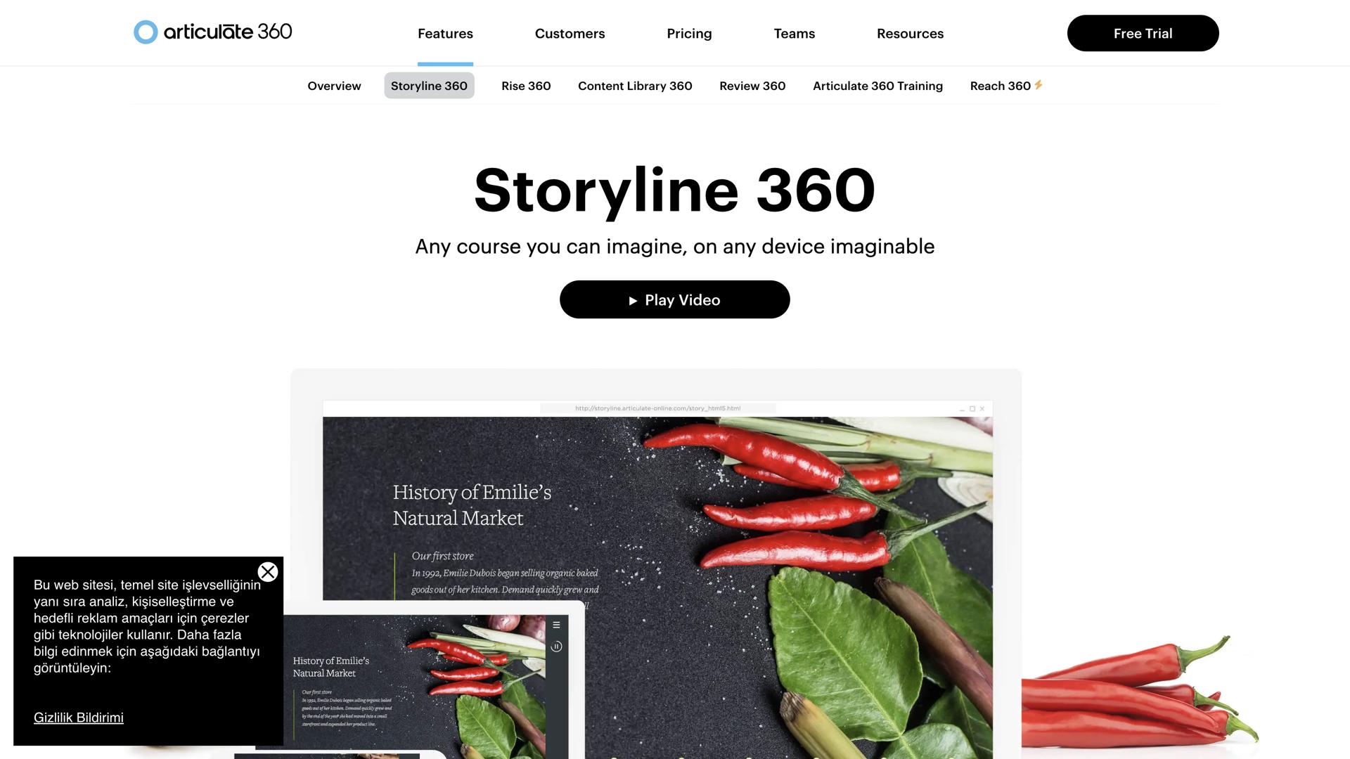 Articulate Storyline