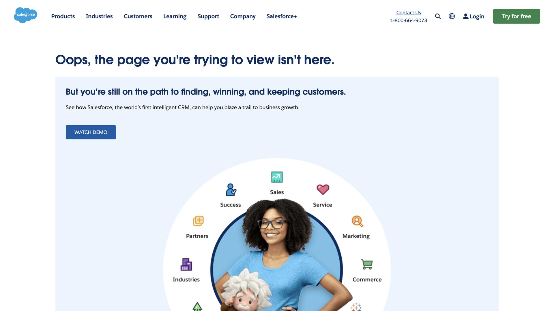 Salesforce Einstein Vision