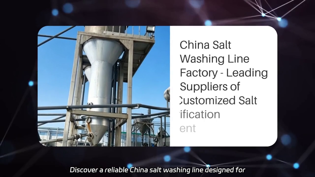 China Salt Washing Line Factory