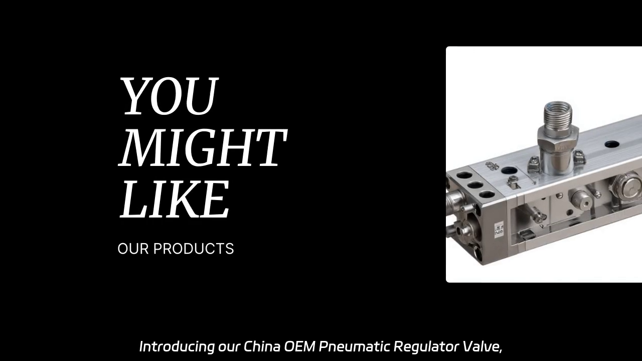 China OEM Pneumatic Regulator Valve