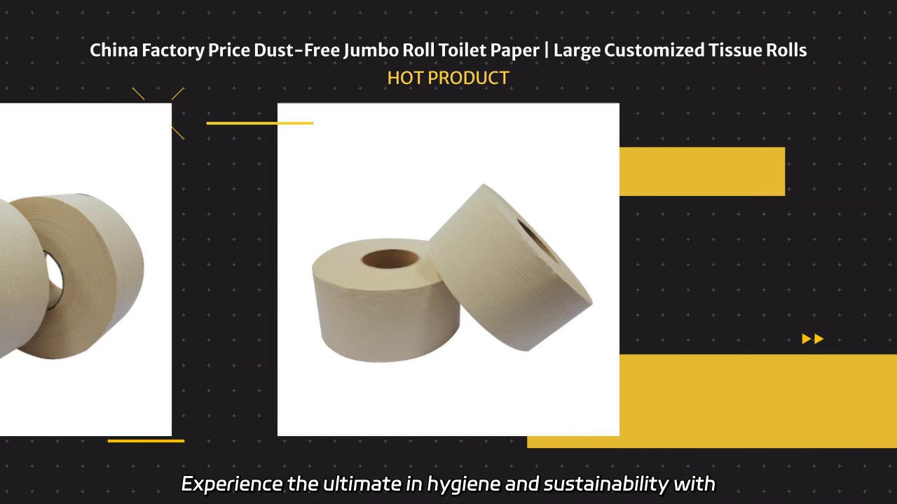 Dust Free Jumbo Roll Toilet Paper