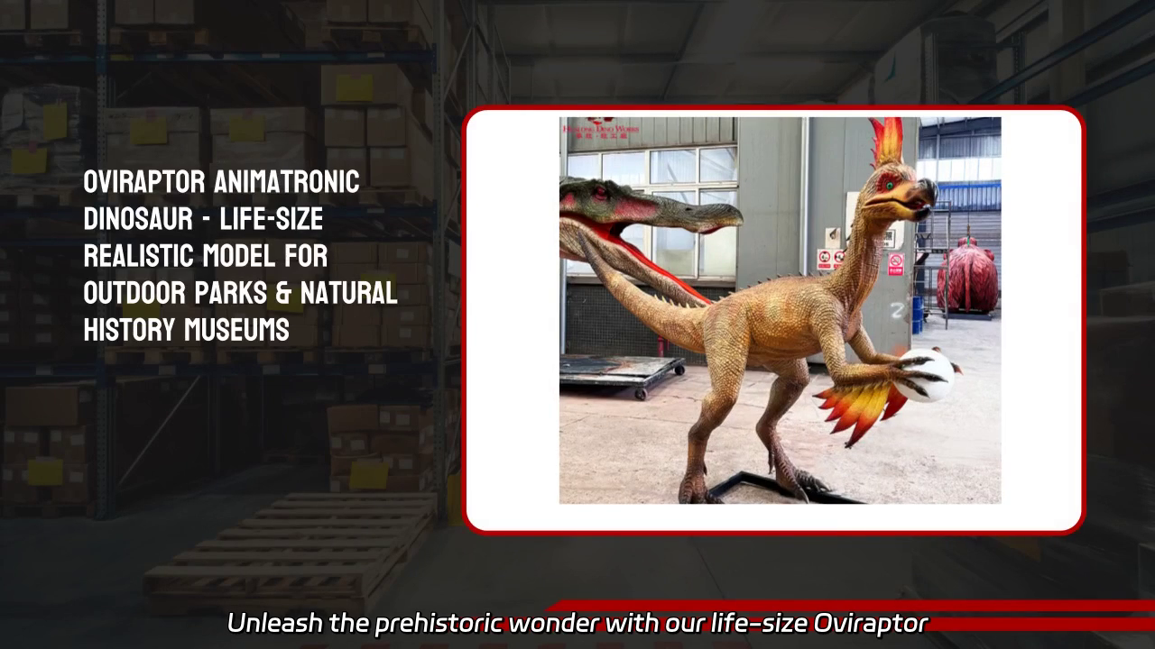 Oviraptor Animatronic Dinosaur - Life-Size Realistic Model for Outdoor Parks and Museums