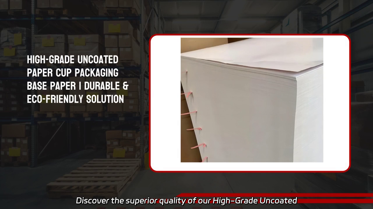 High-Grade Uncoated Paper Cup Paper Packaging Base Paper