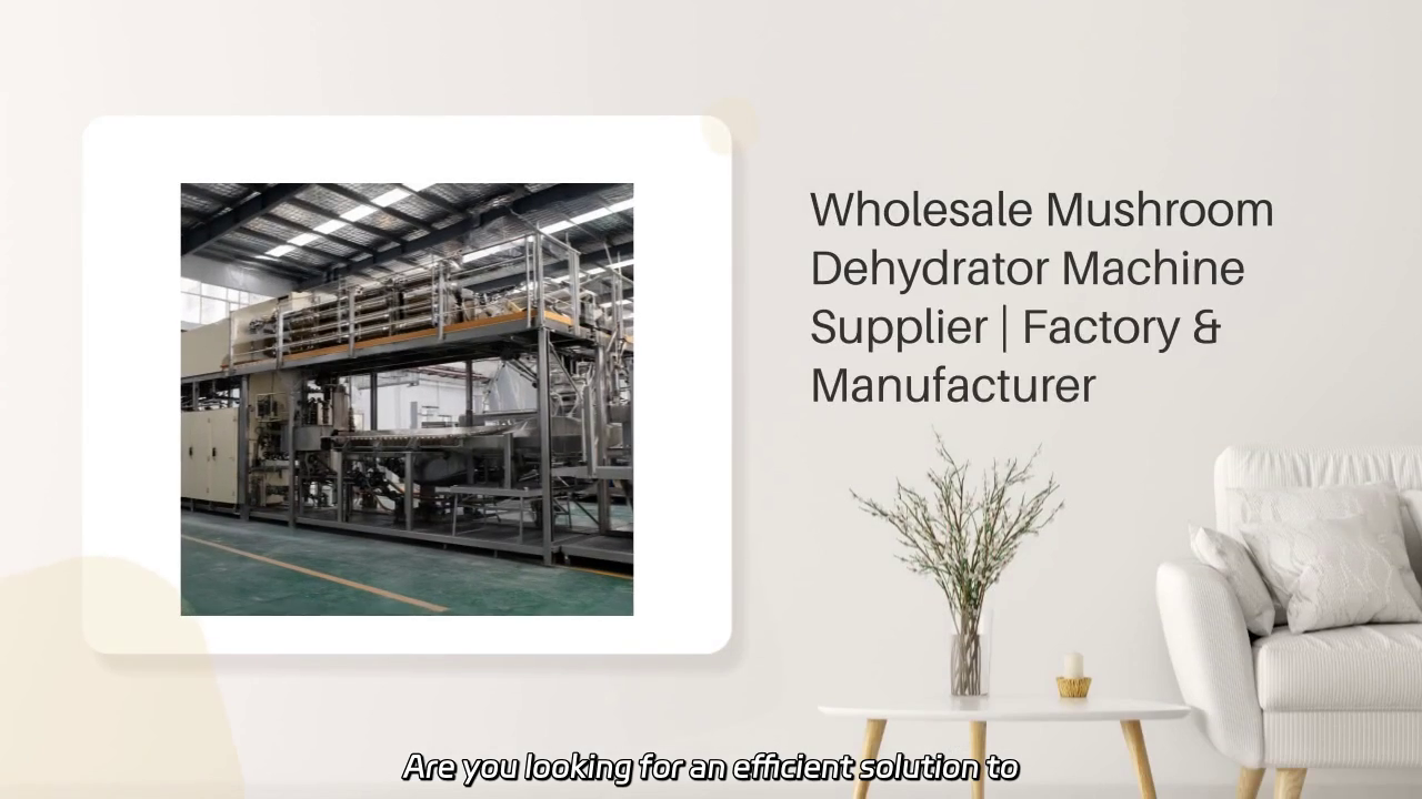 Wholesale Mushroom Dehydrator Machine