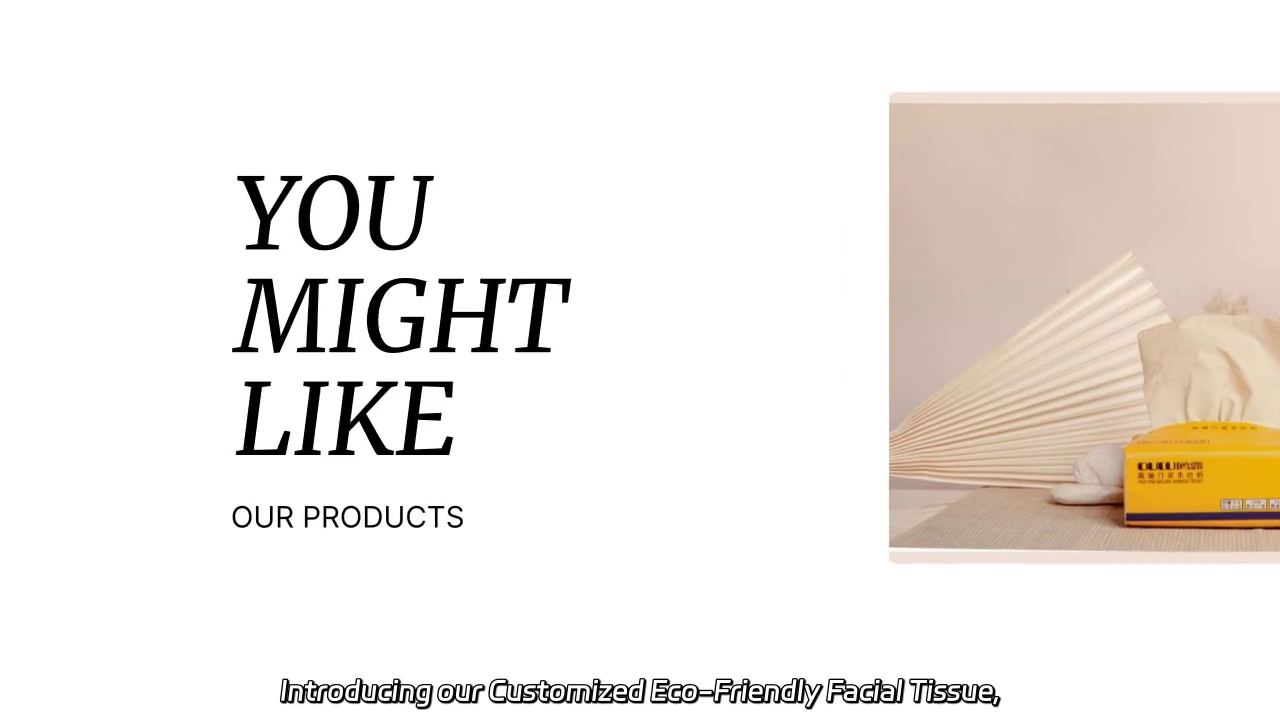 Customized Eco-Friendly Facial Tissue with Printed Logo for Wholesale