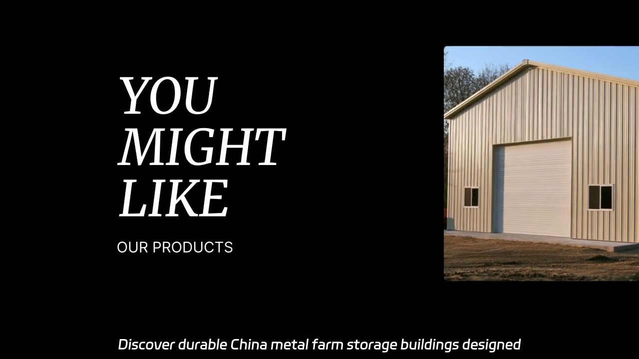 China Metal Farm Storage Buildings