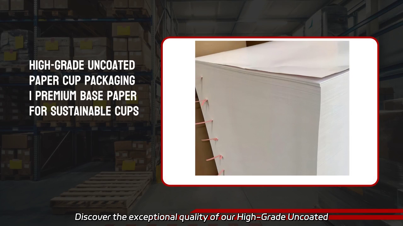 High-Grade Uncoated Paper Cup Base Paper