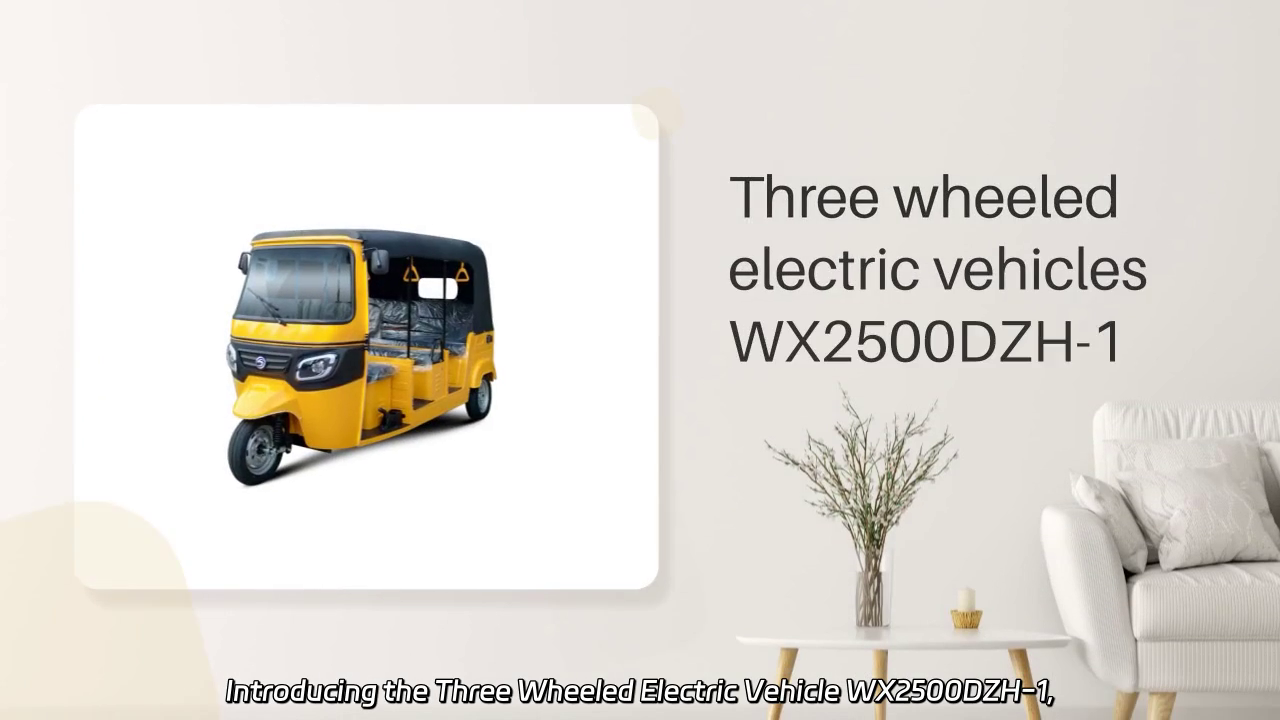 Dreirädriges Elektrofahrzeug WX2500DZH-1: Kompaktes Design