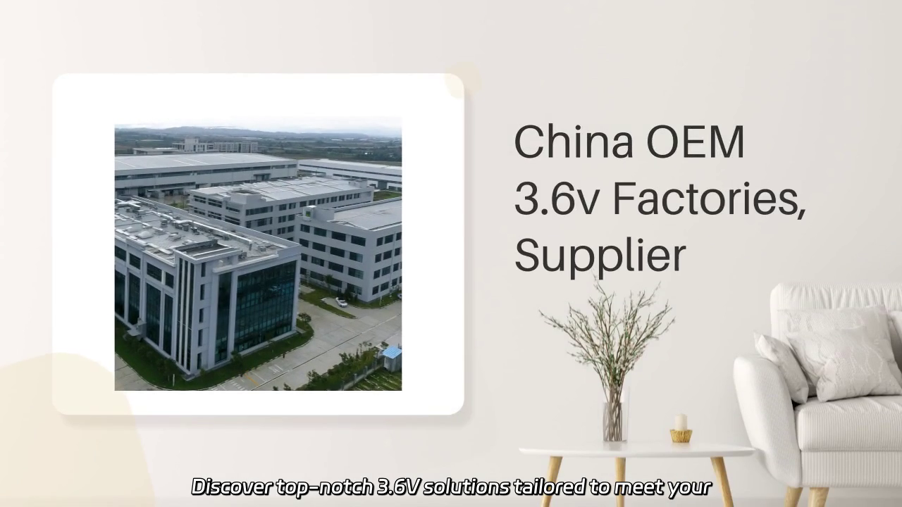 High-Quality China OEM 3.6V Solutions for Your Needs