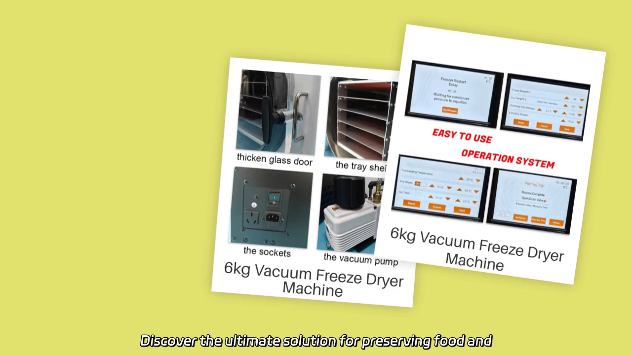 6kg Vacuum Freeze Dryer Machine