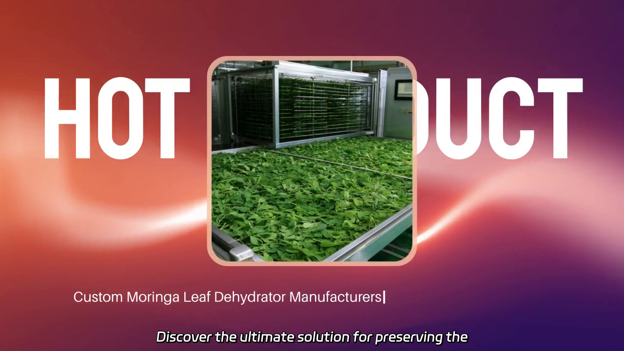 High-Quality Custom Moringa Leaf Dehydrator Solutions