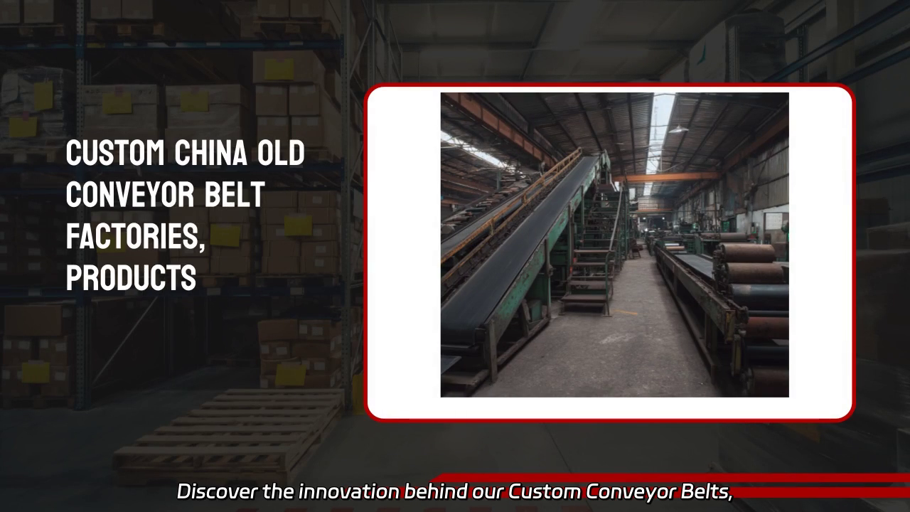 Custom Conveyor Belts for Diverse Industries