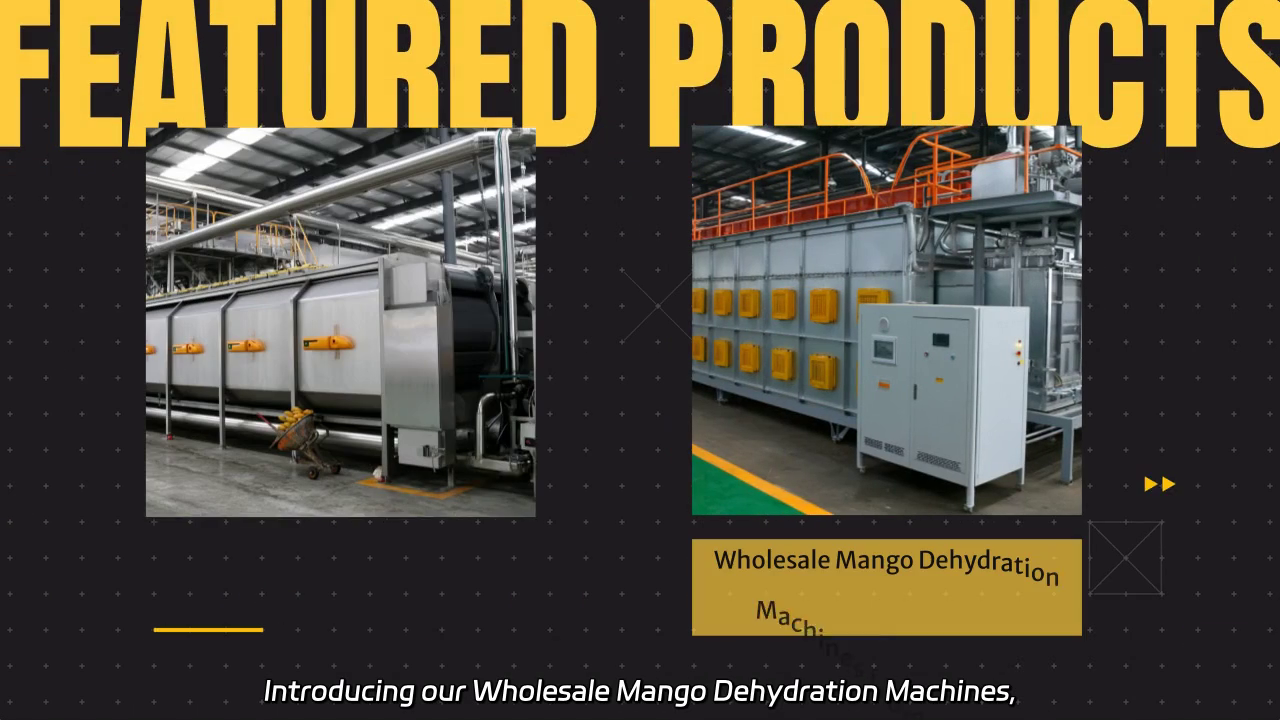 Wholesale Mango Dehydration Machines: Enhance Your Production Efficiency