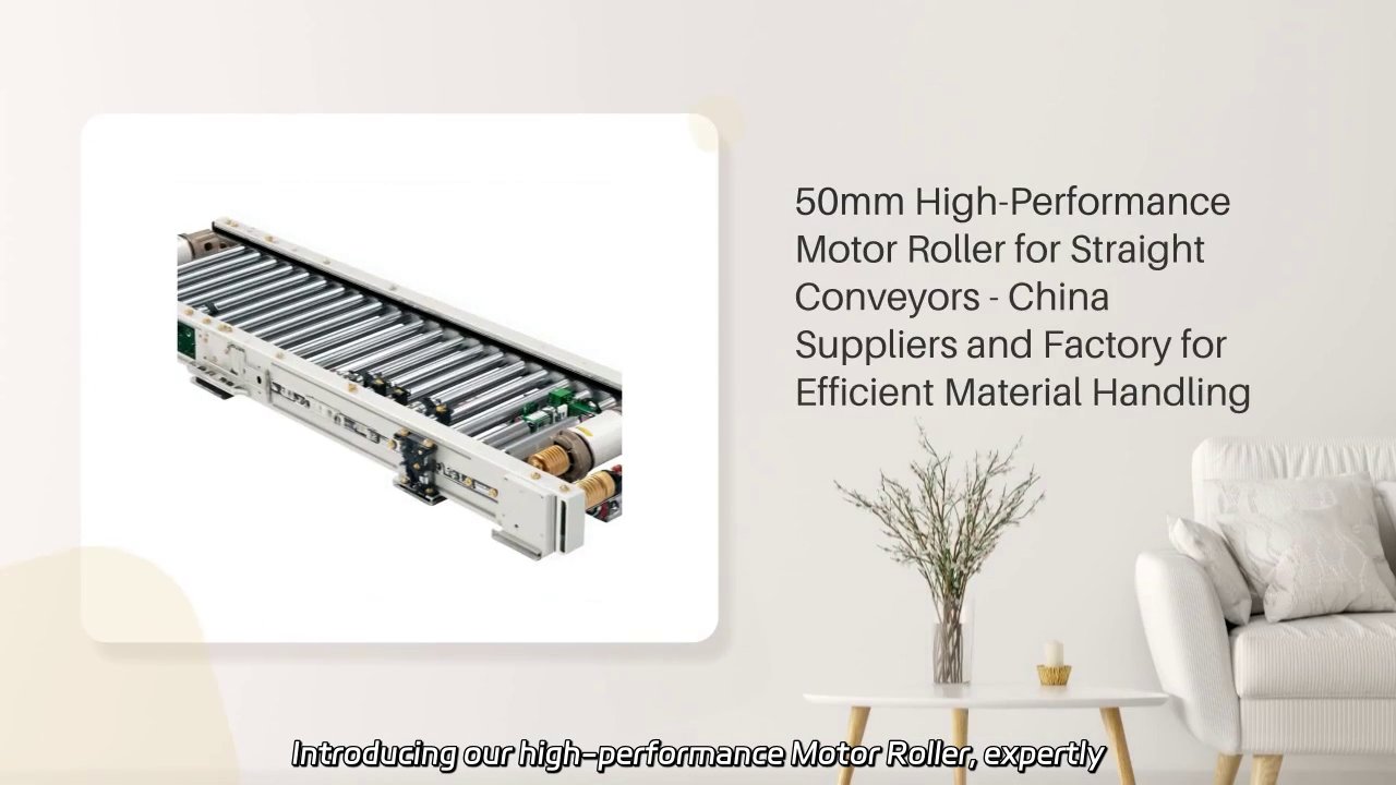 50mm High-Performance Motor Roller for Efficient Material Handling
