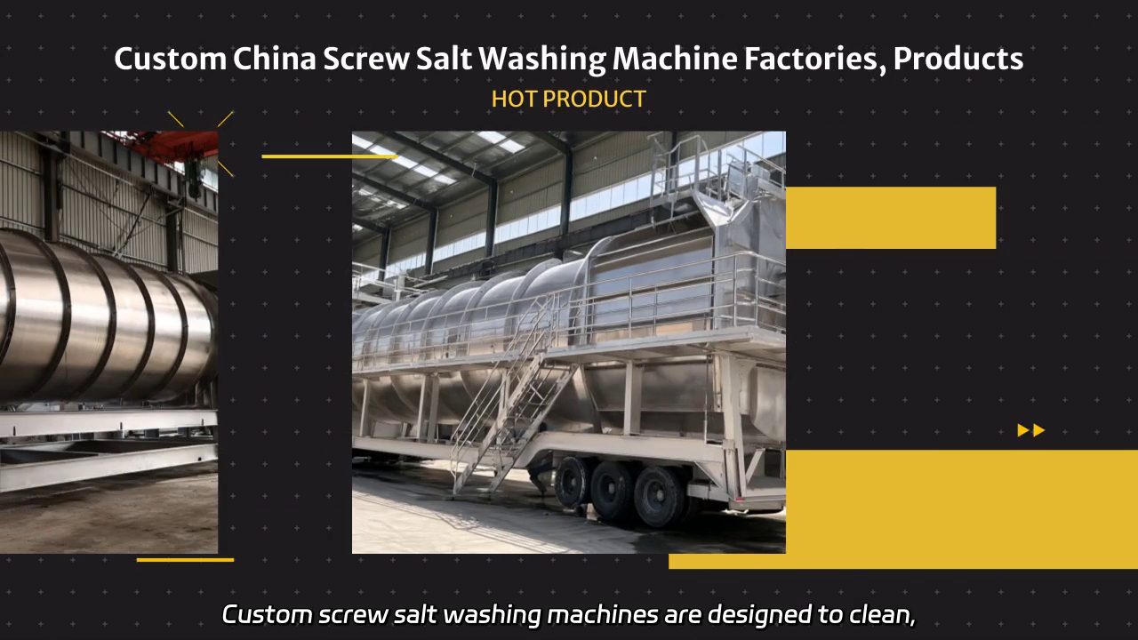 Custom China Screw Salt Washing Machine Factory