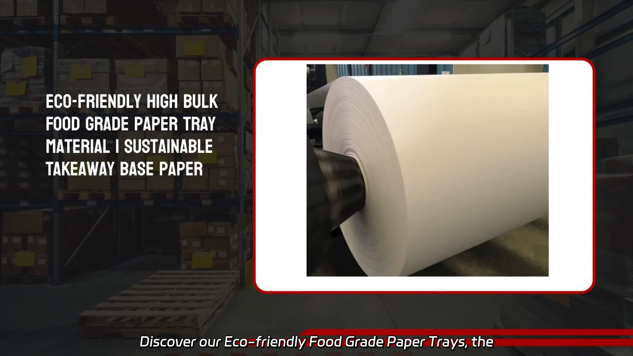Eco-friendly Food Grade Paper Trays for Takeaway Packaging Solutions