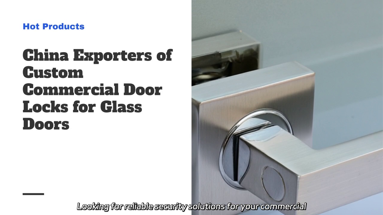 Custom Glass Door Locks - Durable Solutions for Commercial Spaces