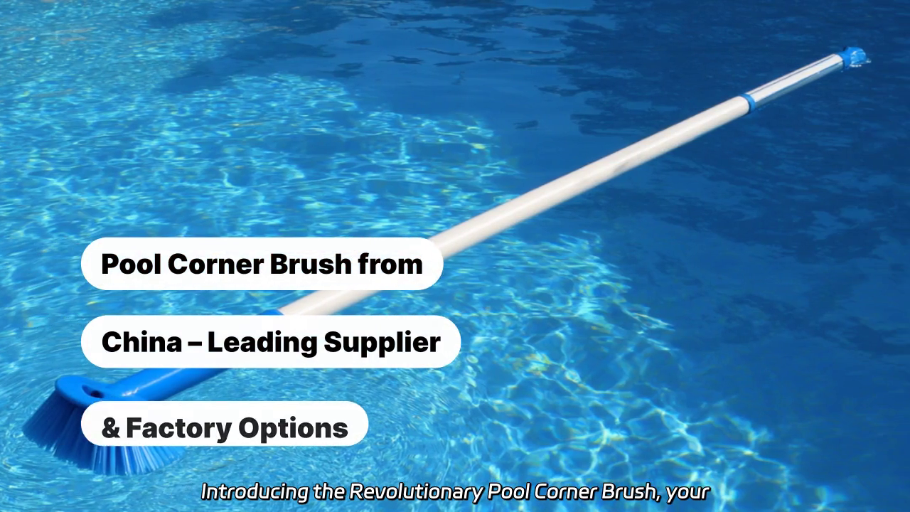 Revolutionary Pool Corner Brush
