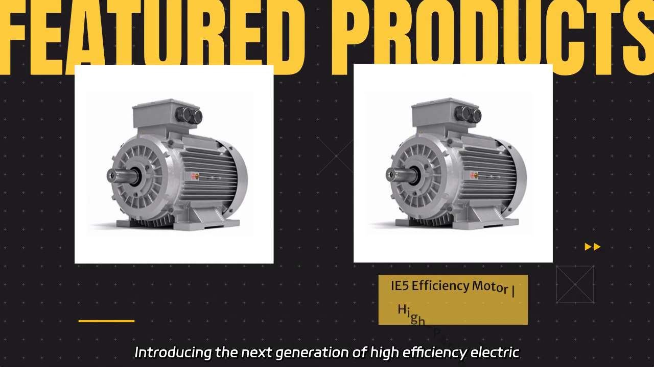 IE5 High Efficiency Electric Motors