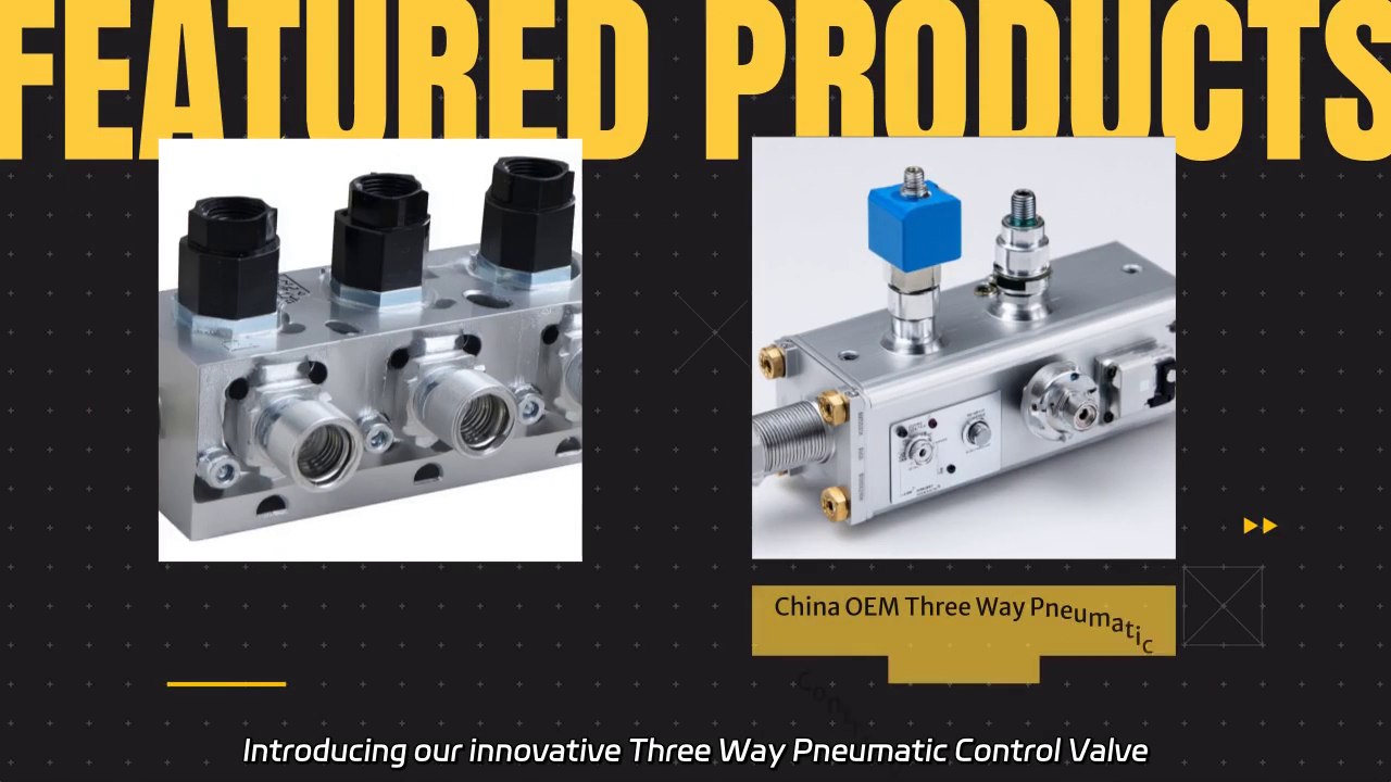 China OEM Three Way Pneumatic Control Valve Overview