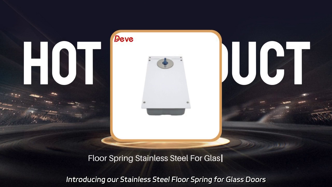 Stainless Steel Floor Spring for Glass Doors