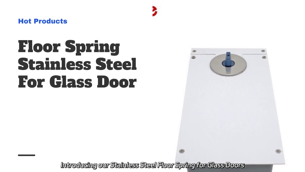 Stainless Steel Floor Spring for Glass Doors - Concealed Design