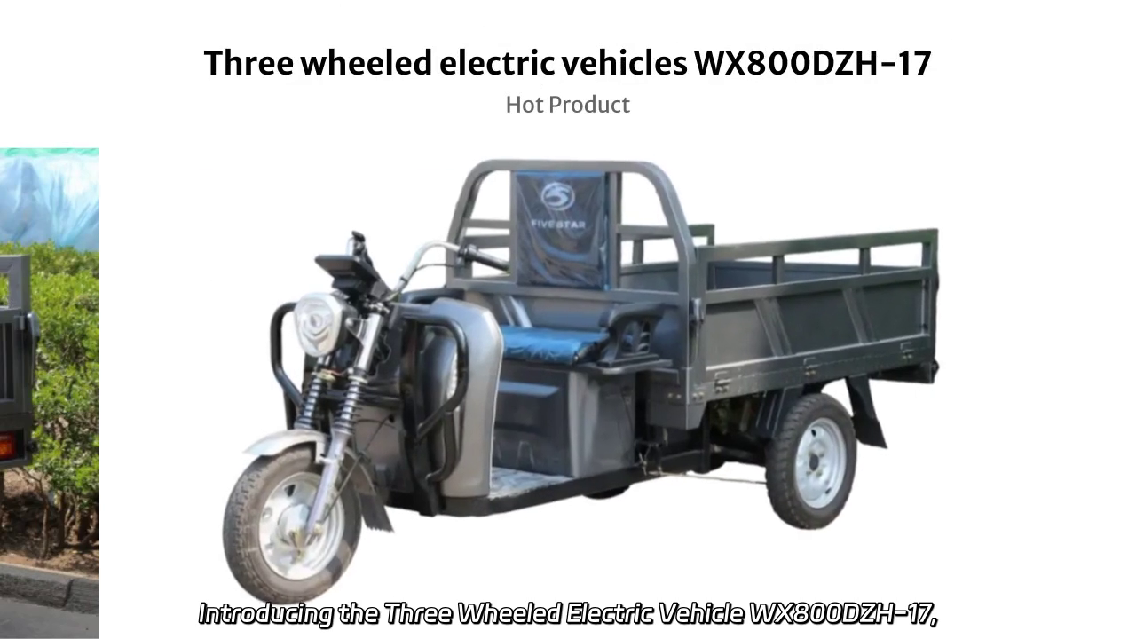 Three Wheeled Electric Vehicle WX800DZH-17: High Load Capacity and Durable Design