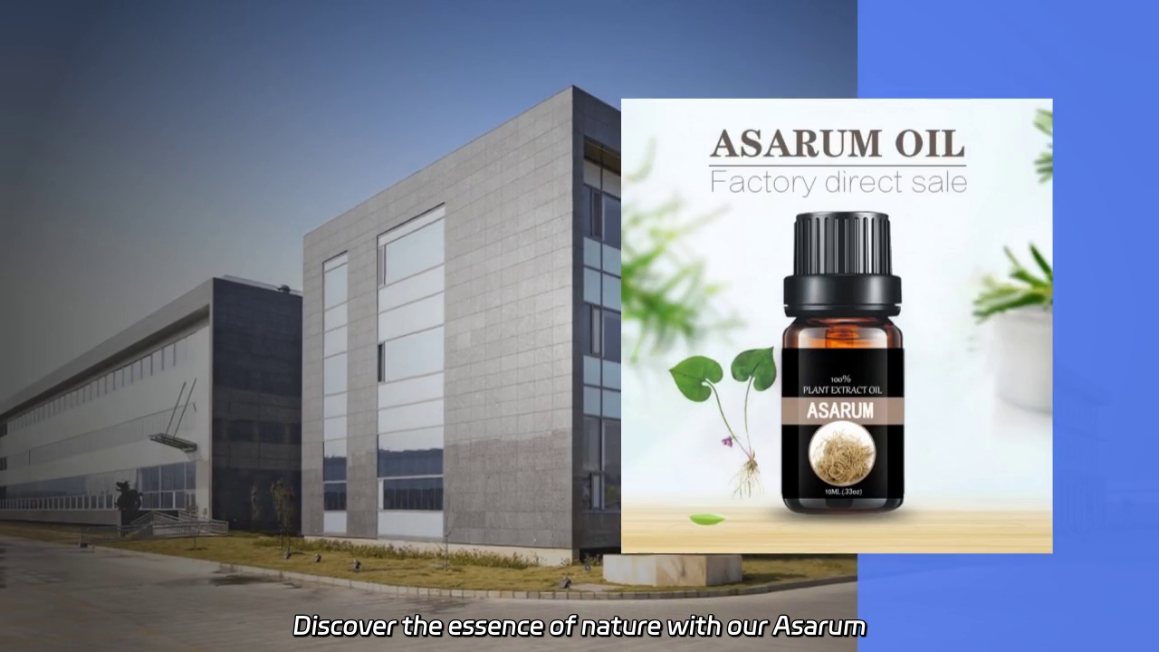 Asarum Essential Oil
