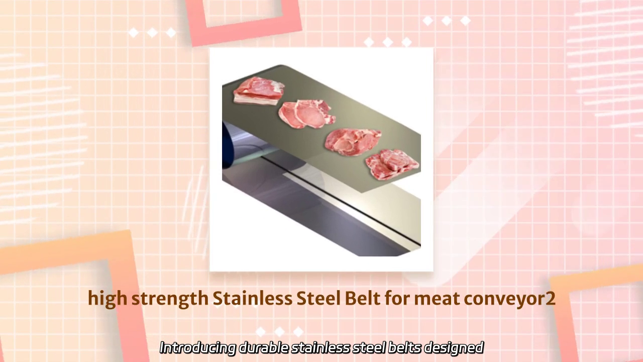 Durable Stainless Steel Belts for Efficient IQF and Meat Conveyors